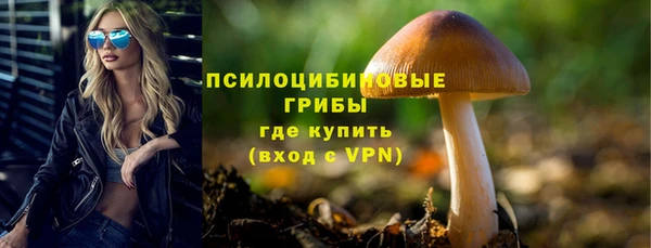 крисы Арсеньев
