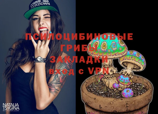 PSILOCYBIN Аркадак