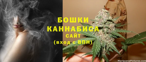 крисы Арсеньев
